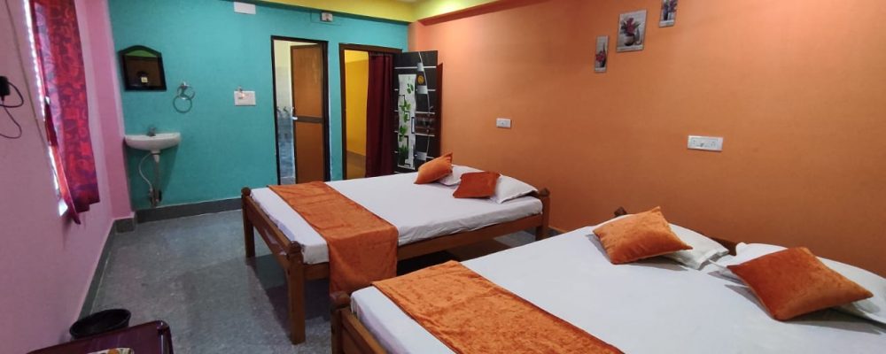 Non AC Deluxe Twin Beds Room